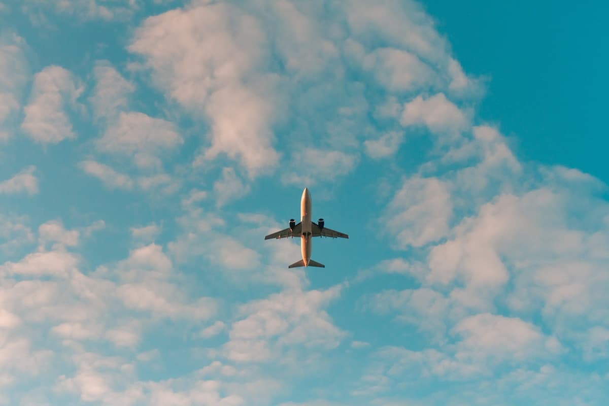 Project Management Essential with AI